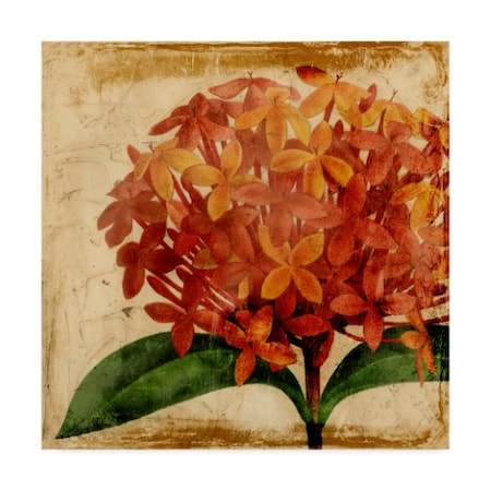 Vision Studio 'Vibrant Floral Iii' Canvas Art,24x24